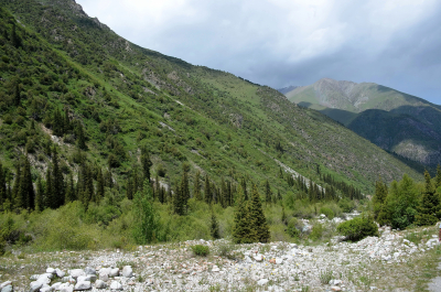 photo 2079696