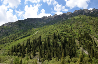 photo 2079711