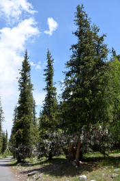 photo 2079713