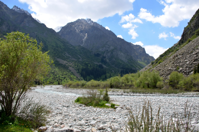 photo 2079773
