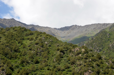photo 2079785