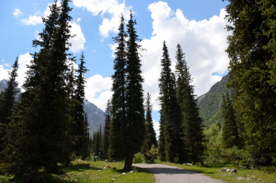 photo 2079812