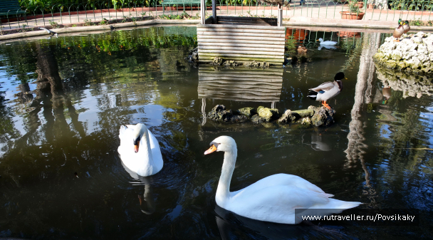 photo 2118138