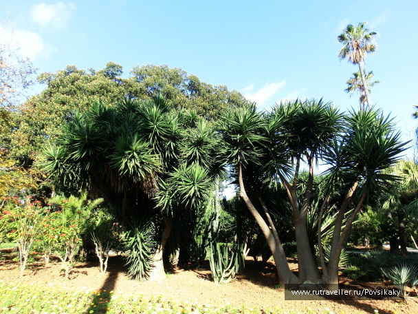 photo 2118142