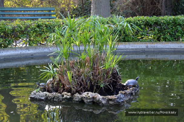 photo 2118194