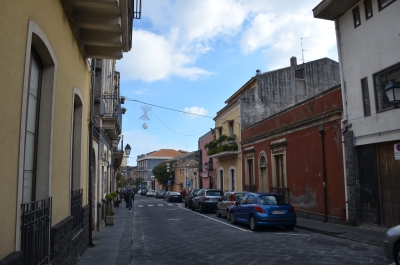 photo 1082955