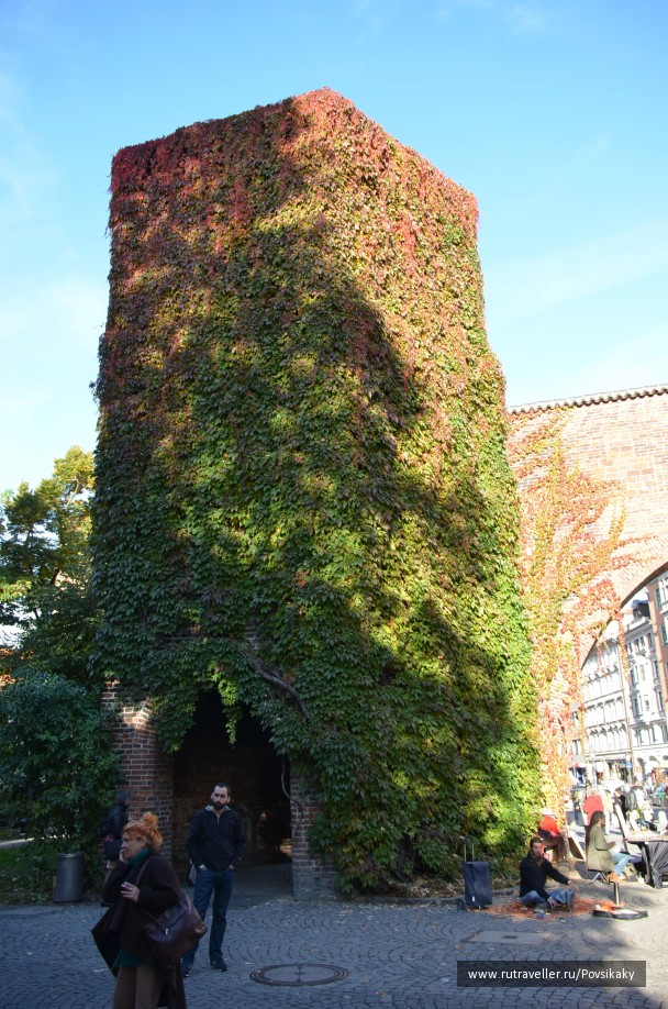 photo 1083736