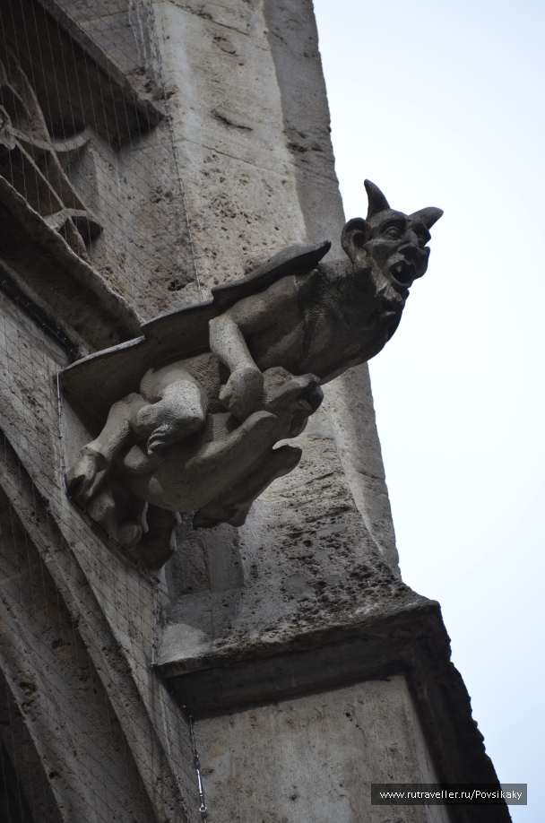 photo 1083775