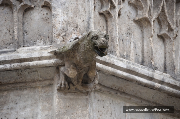 photo 1083781