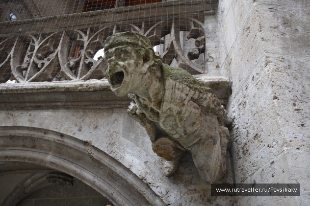 photo 1083783