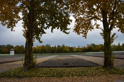 photo 1084602