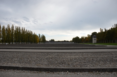 photo 1084603