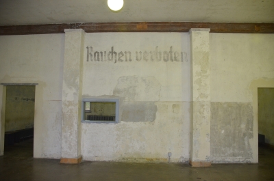 photo 1137835