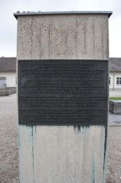 photo 1137841