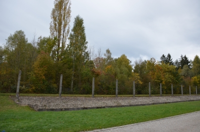 photo 1137875