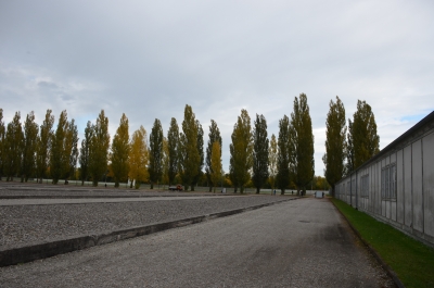 photo 1137878