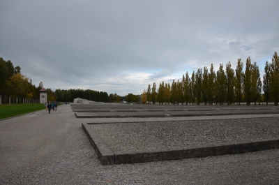 photo 1137879