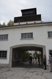 photo 1137884