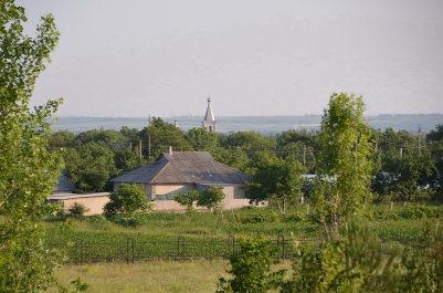 photo 1946234