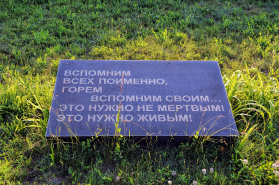 photo 1946844