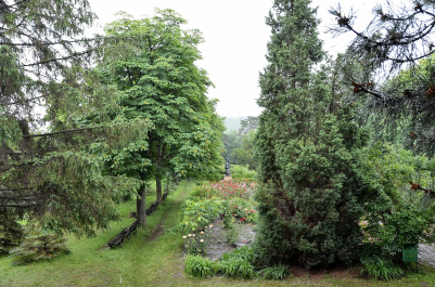 photo 1950143