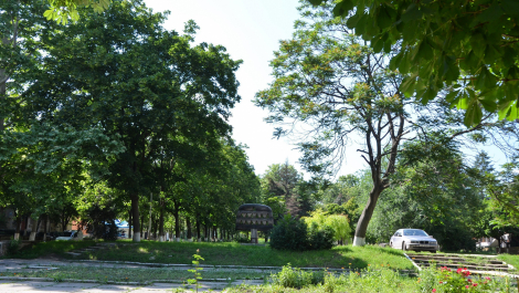 photo 2008365