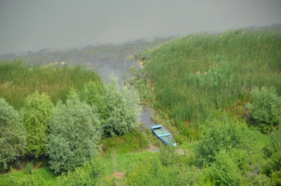 photo 2010103