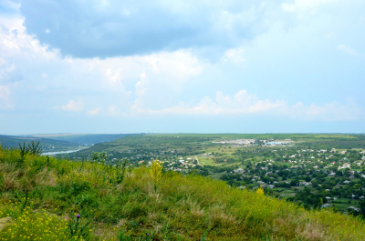 photo 2010114