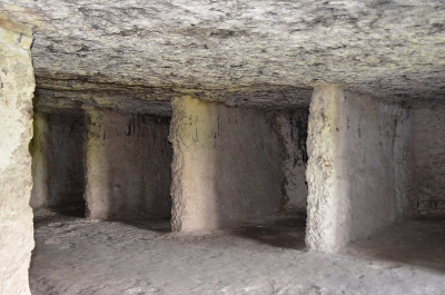photo 2010121