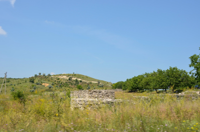 photo 2010132