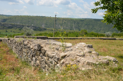 photo 2010133