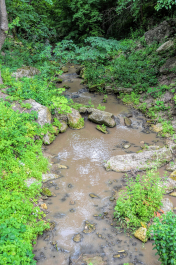 photo 2010433