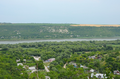 photo 2010437
