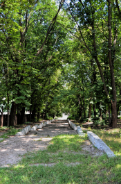 photo 2011230