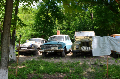 photo 2011239