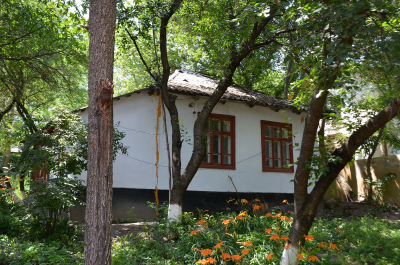 photo 2011434