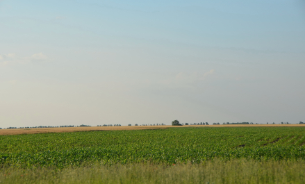 photo 2011496