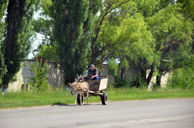 photo 2011511