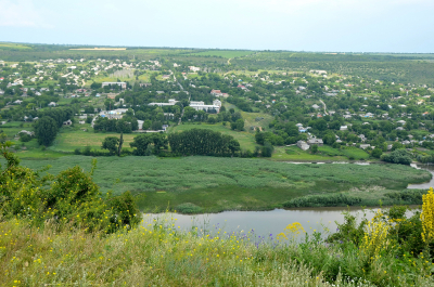 photo 2010068