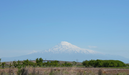 photo 1885839