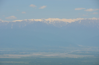 photo 1879645
