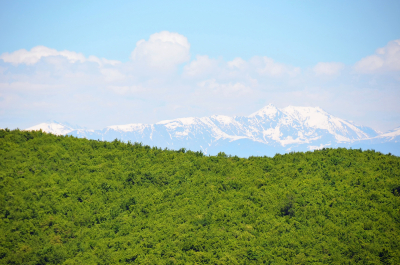 photo 1879646