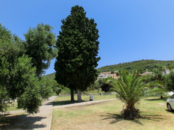 photo 2103388