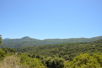 photo 1236036