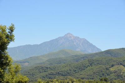 photo 1236039