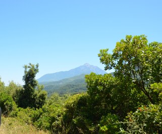 photo 1236040