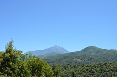photo 1236041