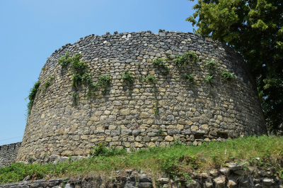 photo 1866216