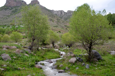 photo 1888815