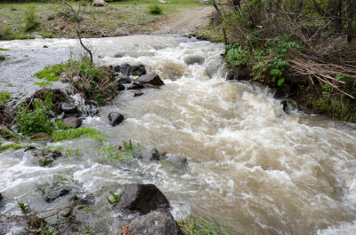 photo 1888816
